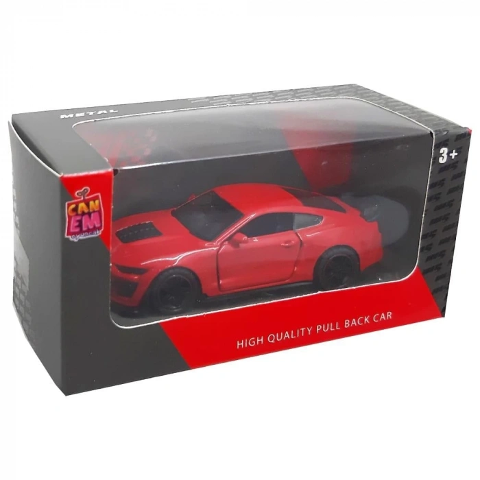 CANEM 6843-07 KUTULU METAL ÇEKBIRAK ARABA (72)