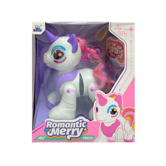 CANEM 8008 UZAKTAN KUMANDALI AT (12)