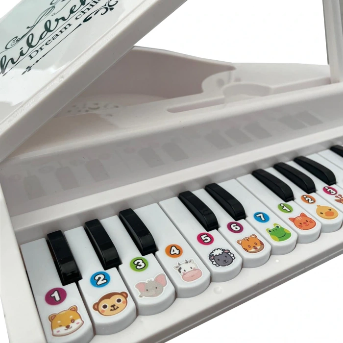 CANEM 918-1 KUTULU PİYANO (24)