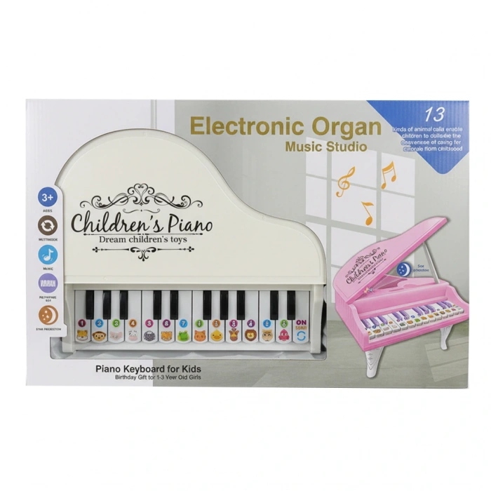 CANEM 918-1 KUTULU PİYANO (24)