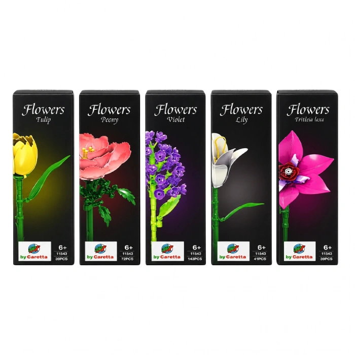 CARETTA 11543 DİSPLAY 12Lİ ÇİÇEK SETİ