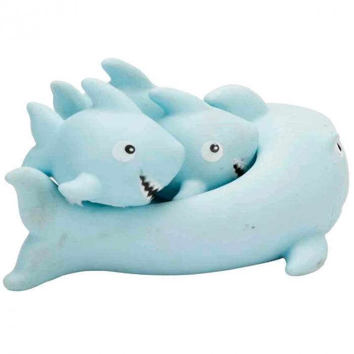 ERPA 660955 FİLEDE SEVİMLİ KÖPEKBALIĞI AİLESİ