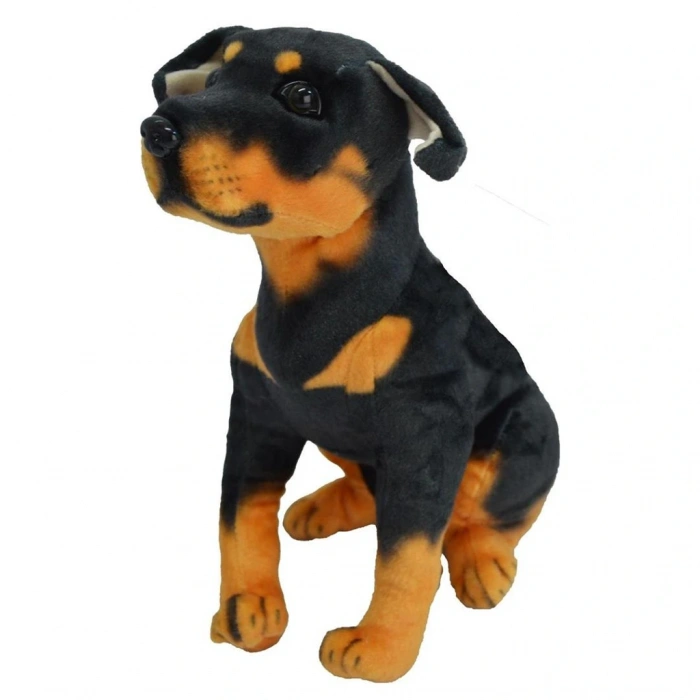 HALLEY PL62453 43 CM KÖPEK (40)