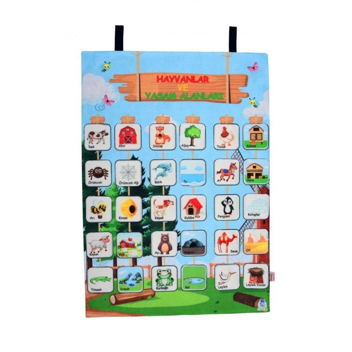 KÖKTEN CIRTLI PANO HAYVANLARIN YAŞAM ALANLARI AND-5193