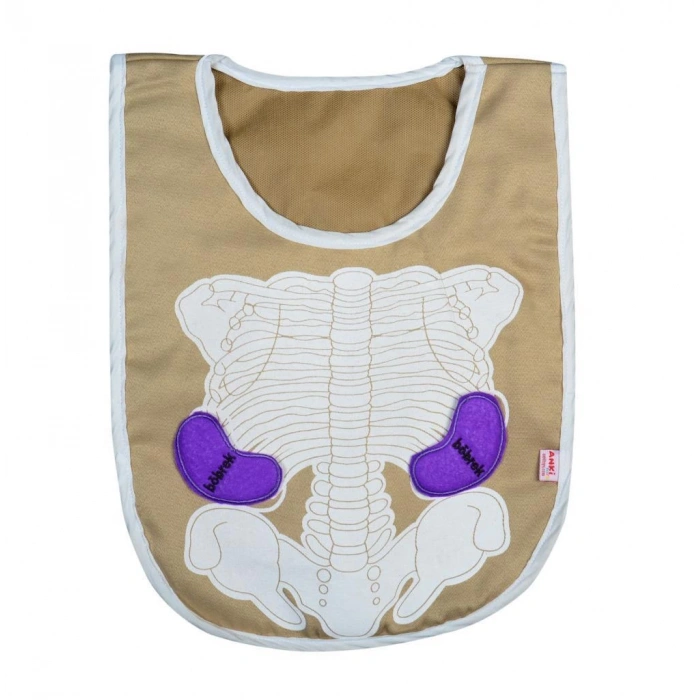 KÖKTEN EĞİTİCİ ORGAN ÖNLÜĞÜ AND-5011