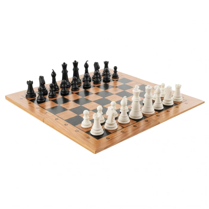 MOLİ-1711 SATRANÇ OYUNU (25)