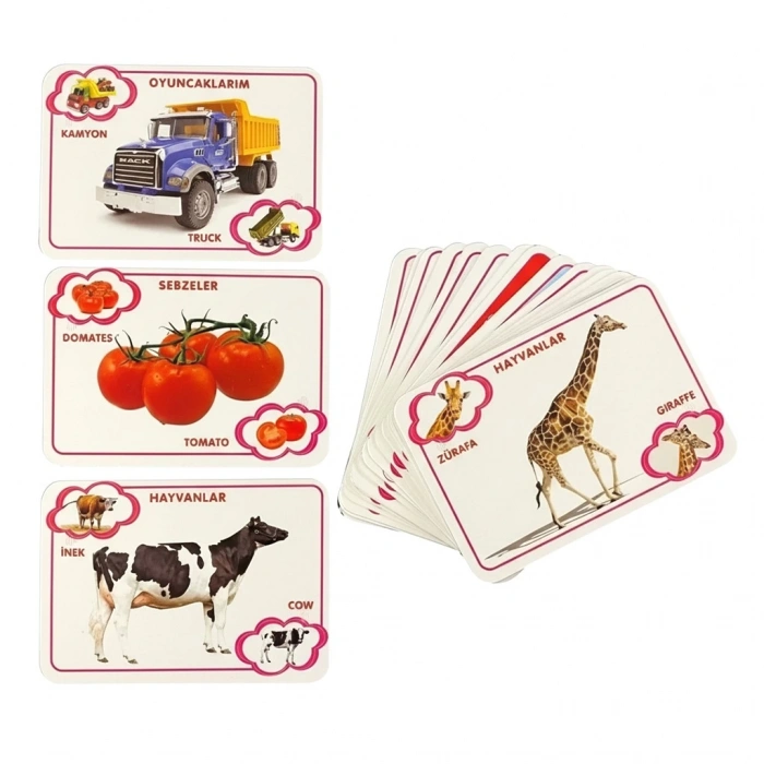 ONYIL ONY-24 EĞİTİCİ RESİMLİ BİLGİ KARTI GÖR-TANI-ÖĞREN