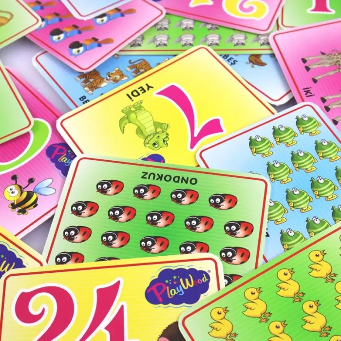 ONYIL ONY-27 EĞİTİCİ RESİMLİ BİLGİ KARTI-RAKAMLAR