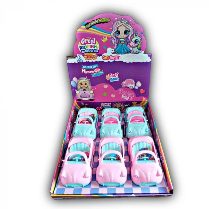 OYDAŞ 02619 6LI STANDDA MY NEW (60)