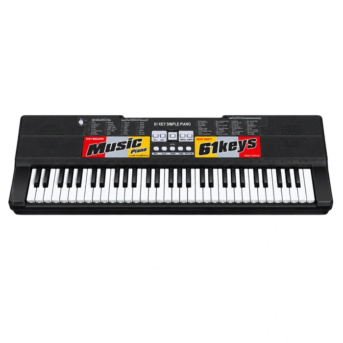 PASİFİK BX-1688 61 TUŞ MİKROFONLU ORG