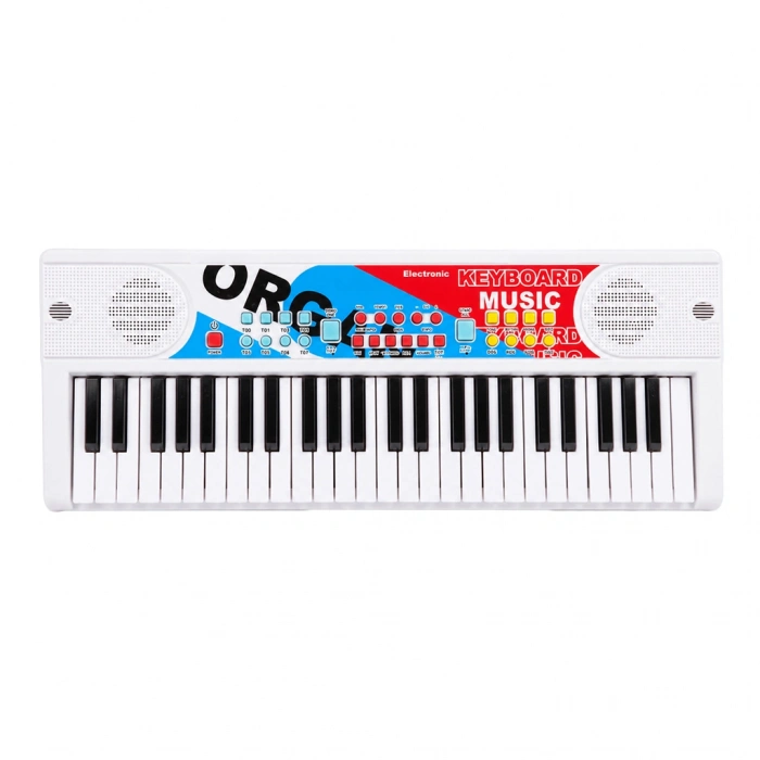 PASİFİK Q-977 49 TUŞ MİKROFONLU ORG BÜYÜK BOY
