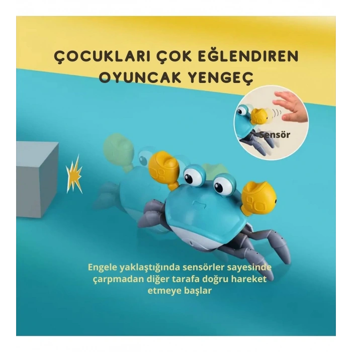 PASİFİK QC-3YPİLLİ IŞIKLI YENGEÇ (60)