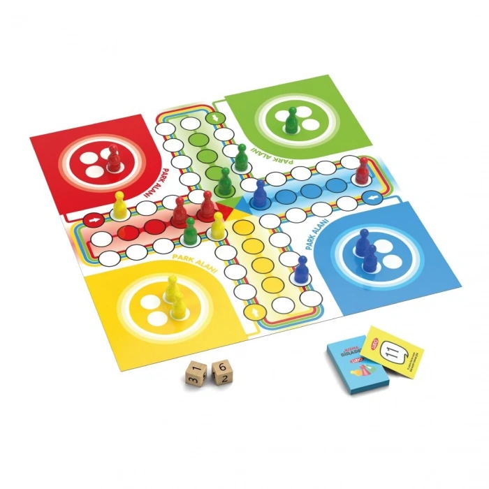 REDKA KIZMA BİRADER RD5309 (24)