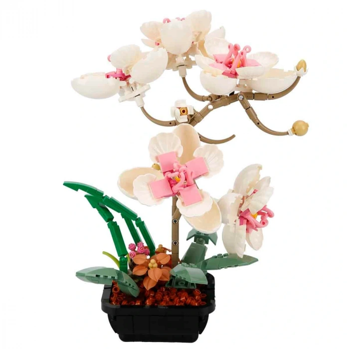 SUNMAN S00004687 SUN-WOM-BLX-FLOWER SET ORKİDE 660PRÇ