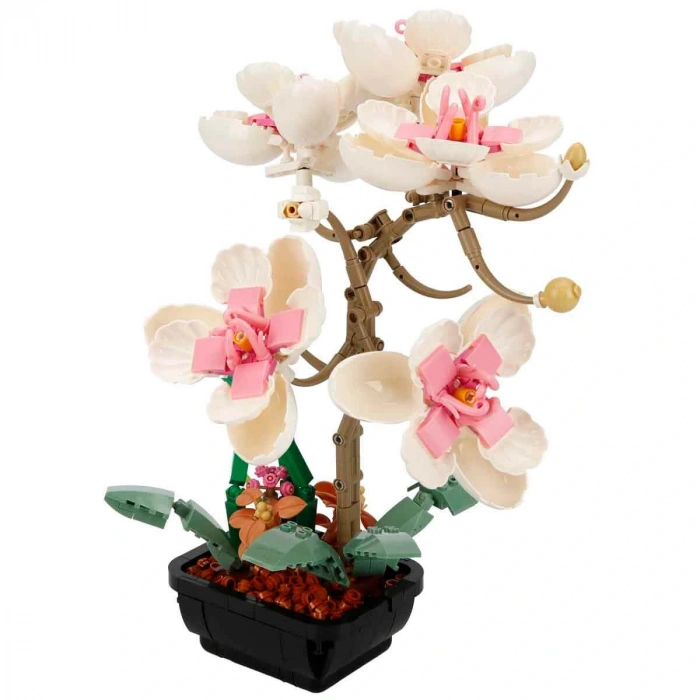 SUNMAN S00004687 SUN-WOM-BLX-FLOWER SET ORKİDE 660PRÇ