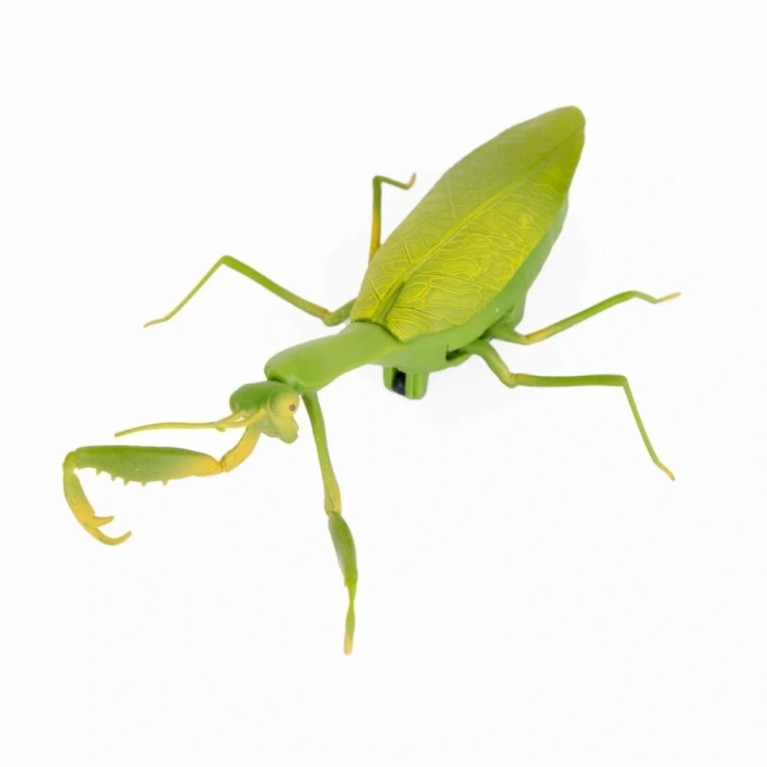 SUNMAN S00091570 SUN-YFN-CRZ-I/C ÇEKIRGE IŞIKLI