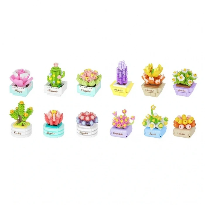 SUNMAN S03001001  SUN-IMM-KCO-BLOOM BOUTIQUE SUKULENT SAKSI 12A.12D.