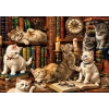 ONUR 20090 PUZZLE 500 CATS İN THE LİBRARY