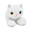 SELAY 4520 KEDİ 25 CM