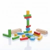 BEE SMART BS5735 RENKLİ DENGE OYUNU (24)