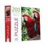 CA PUZZLE  CA200-6023 PAPAĞAN 200 PARÇA PUZZLE