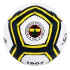 CAN TOP FB 5102 FENERBAHÇE FUTBOL TOPU LİNES