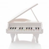 CANEM 918-1 KUTULU PİYANO (24)