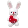 HALLEY PL62560 35 CM PEMBE BURUNLU AYI