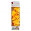 PASİFİK 2087-AA2030  6 LI CİVCİV VİNİL(96)