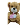 SELAY 1202 CUTE HAPPY BHIRTDAY BEAR 37 CM