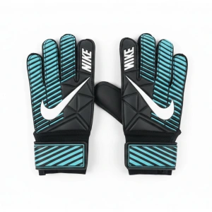 ERZİ KALECİ ELDİVENİ