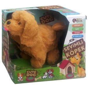 CAN 1151-5167 KUTUDA PİLLİ SEVİMLİ KÖPEK (18)