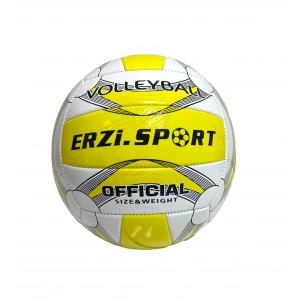 ERZİ VOLEYBOL TOPU (100)