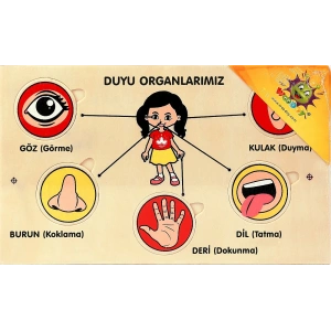 KARSAN KR107 WOODY YAPBOZ DUYU ORGANLARIMIZ (60)