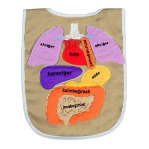 KÖKTEN EĞİTİCİ ORGAN ÖNLÜĞÜ AND-5011