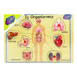 ONYIL ONY-166/167 AHŞAP TUTMALI ORGANLAR