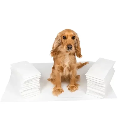 Köpek Tuvalet Çiş Eğitim Pedi 60x90 Cm 30 Adet