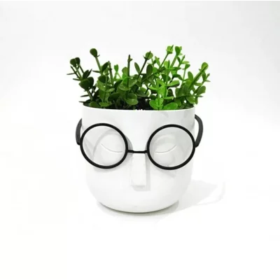 Profesör Masa Üstü Saksı Kalem Kutusu Beyaz