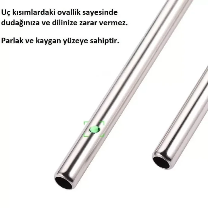 2 Li Paslanmaz Çelik Pipet Ve Temizleme Fırçası
