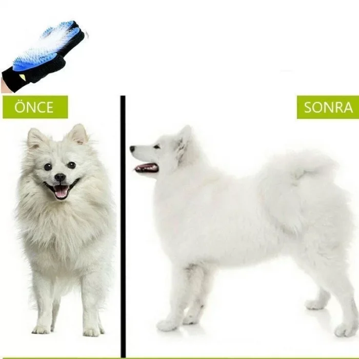 Evcil Hayvan Tüy Toplama Eldiveni Mavi