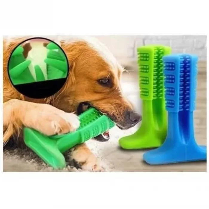 Köpek Diş Fırçası Isırma Aparatı Küçük Boy