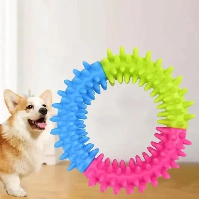 Köpek Isırma Diş Kaşıma Çemberi