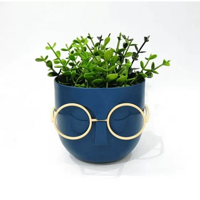 Profesör Masa Üstü Saksı Kalem Kutusu Mavi