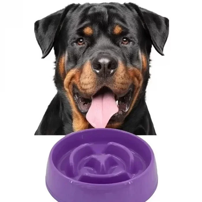 Yavaş Yeme Kedi Köpek Mama Kabı 375 Ml