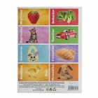 Diytoy Flash Cards İlk 50 Sözcük