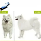 Evcil Hayvan Tüy Toplama Eldiveni Mavi