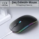 Kablosuz Fare Wireless Mouse 4 Tuşlu Sessiz Şarj Edilebilir Dpı Kontrol