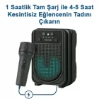 Karaoke Mikrofonlu Dinamik Ses Taşınabilir Bluetooth 3 İnç Hoparlör