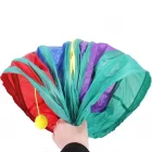 Katlanabilir Kedi Oyun Tüneli Gökkuşağı 117 Cm