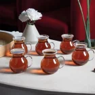 Keyfi Ala Borosilikat Kulplu 6 Lı Çay Bardağı